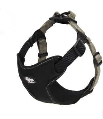 Dog Chest Harness