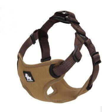 Dog Chest Harness