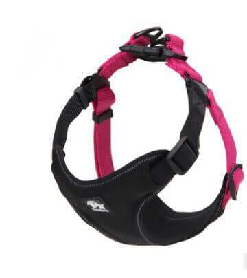 Dog Chest Harness