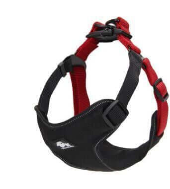 Dog Chest Harness