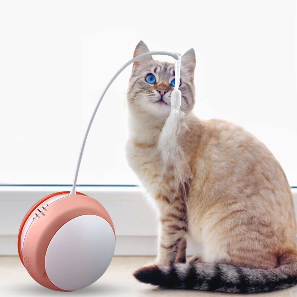 Smart Cat Ball