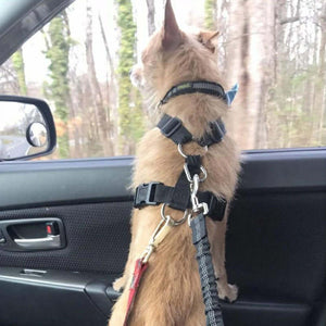 Adjustable Dog Seat Belt