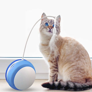 Smart Cat Ball