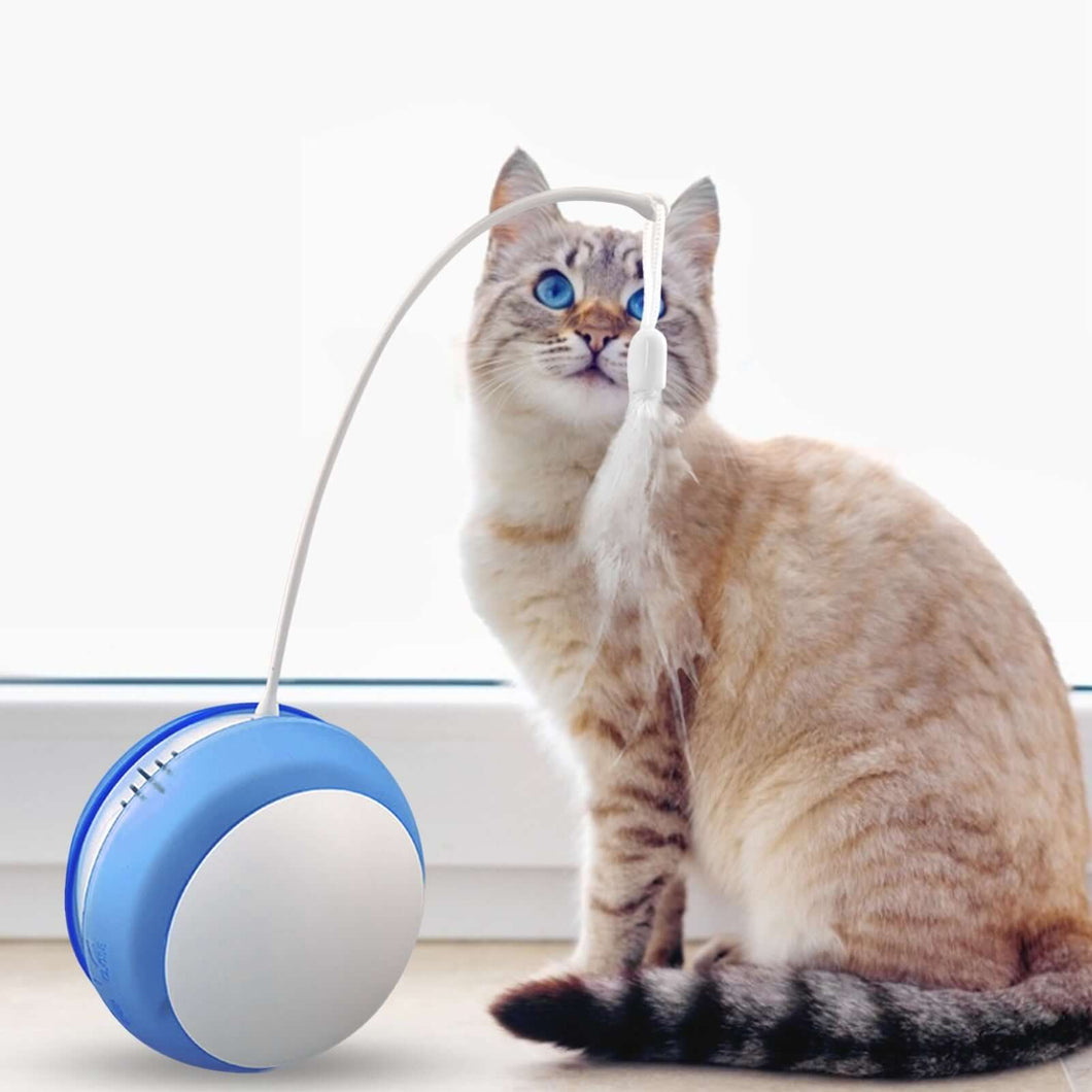 Smart Cat Ball